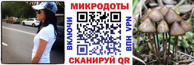 Галлюциногенные грибы Cubensis Копейск