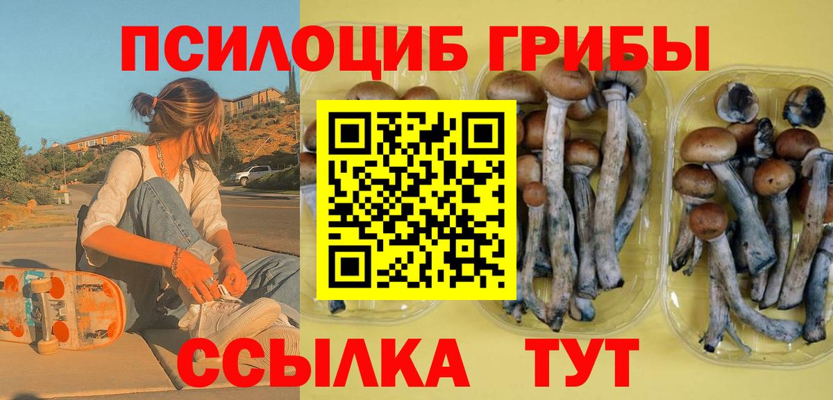 Копейск  Галлюциногенные грибы Magic Shrooms  Вход с VPN 